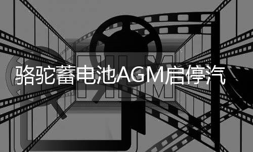 骆驼蓄电池AGM启停汽车电瓶VRL592适配宾利路虎宝马3系5系奥迪